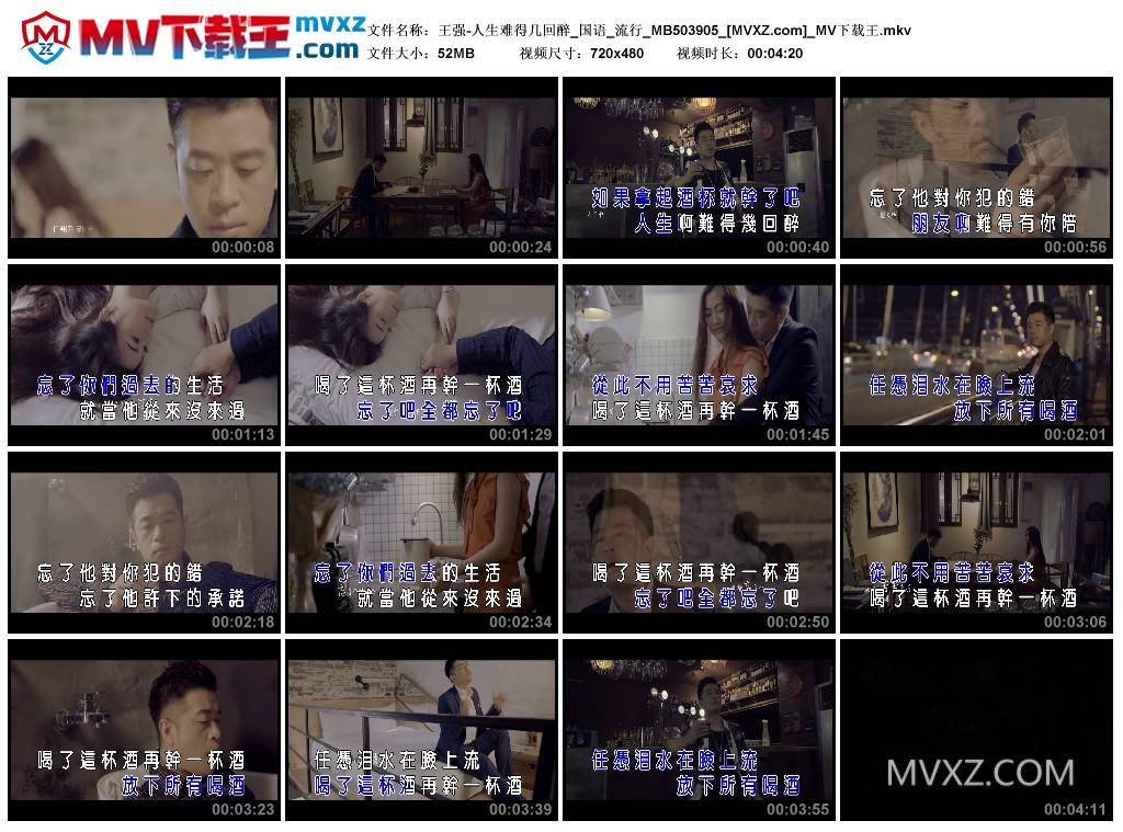 王强-人生难得几回醉_国语_流行_MB503905